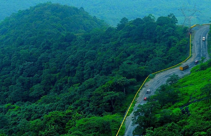 2 Nights Wayanad Honeymoon Package