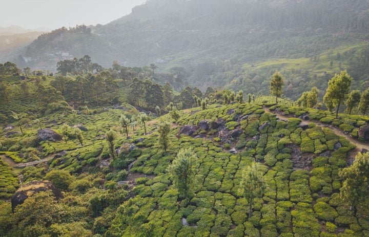 >Kerala Honeymoon Packages in India
